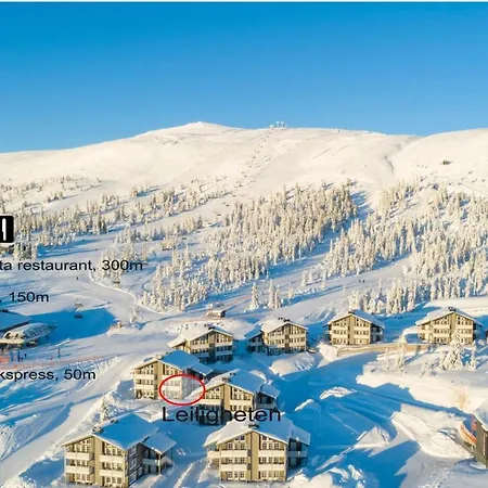 Mountain Lodge, Topptrysil 6+1 Guest -skihytta