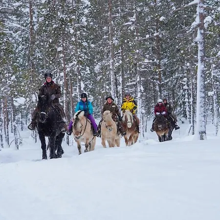 Mountain Lodge, Topptrysil 6+1 Guest -skihytta * 트리실