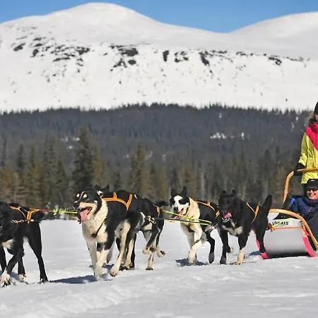 דירה Mountain Lodge, Topptrysil 6+1 Guest -skihytta *