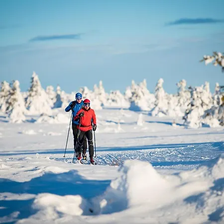 Mountain Lodge, Topptrysil 6+1 Guest -skihytta