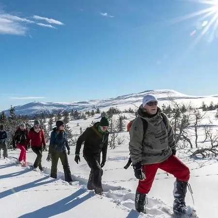 Mountain Lodge, Topptrysil 6+1 Guest -skihytta טריסיל